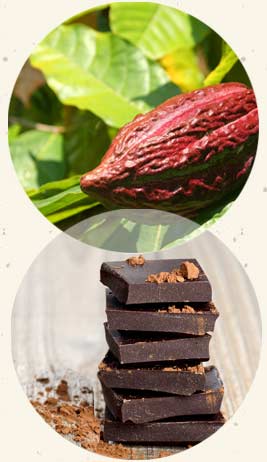 Eliminating the fat from chocolate