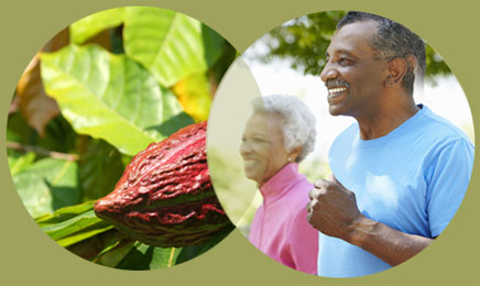 Health and Medical Benefits of (sugar-free, fat-free) Chocolate